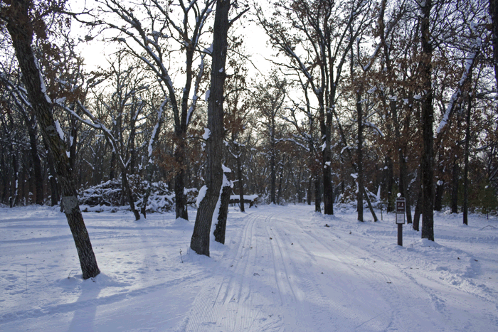Cross courntry ski and snowshoe trails